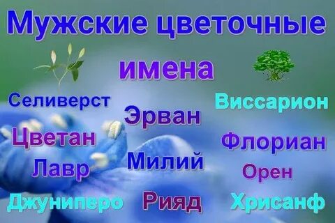Каким именем назвать растения