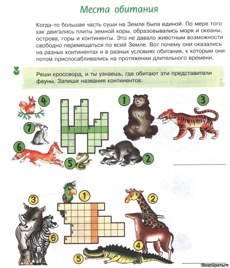 кроссворд на тему среда. обитания кроссворд. кроссворд по биологии 5 класс на тему среда обитания. обитания кроссворд. кроссворд по биологии на тему сосна.