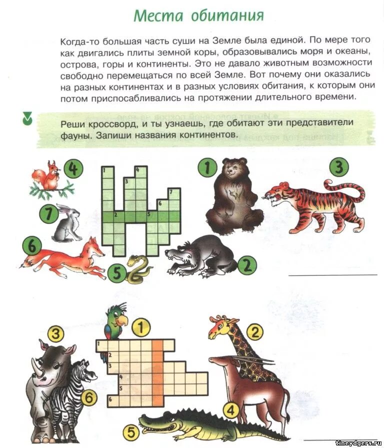 Кроссворд по биологии животные. Ребусы кроссворды по биологии. Биология интересные задания. Необычные кроссворды по биологии.