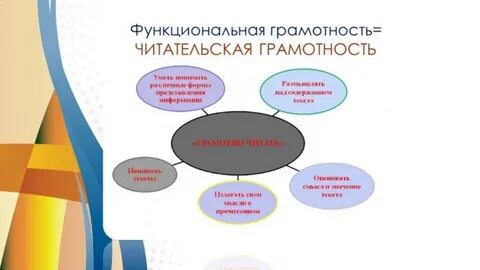 Функциональная грамотность 5 класс 2023