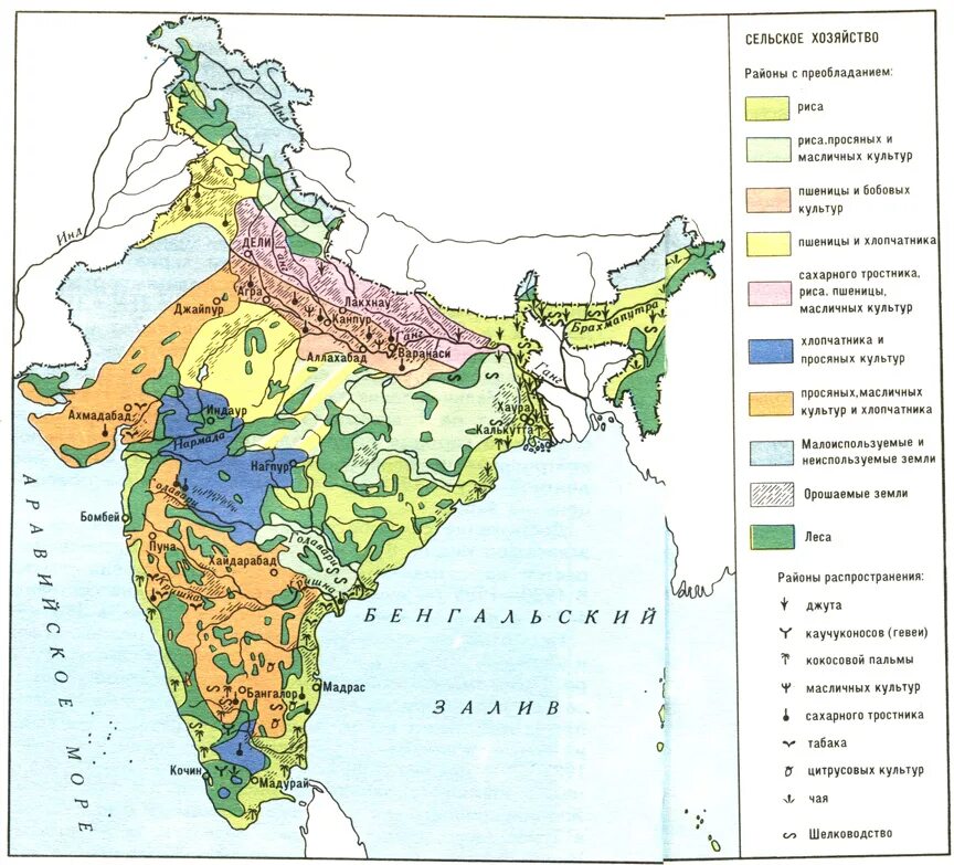 Сельскохозяйственные культуры Индии на карте. Основные сельскохозяйственные культуры Индии. Специализация сельского хозяйства Индии карта. Основные сельскохозяйственные районы Индии. Местоположение хозяйства
