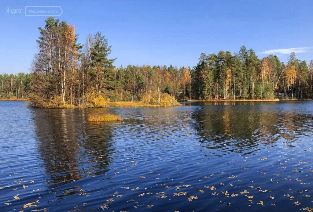 Медное озеро клевое место. YouTube