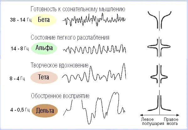Альфа бета гамма ритмы головного мозга. Альфа бета тета Дельта ритмы мозга. Альфа ритм и бета ритм головного мозга. Волны бета Альфа тета частоты.