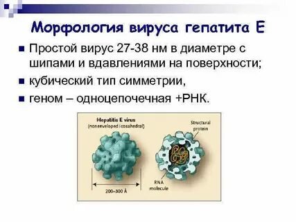 Вирусный гепатит с минимальной активности