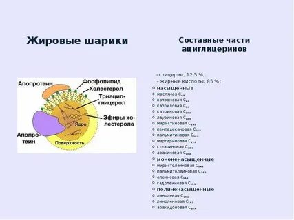 Размер жировых шариков