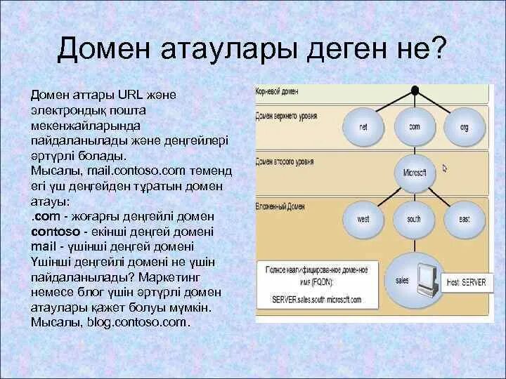 Алу деген. Домен деген не. Домен это не сайт. Техника домена презентация. Структура деген не.