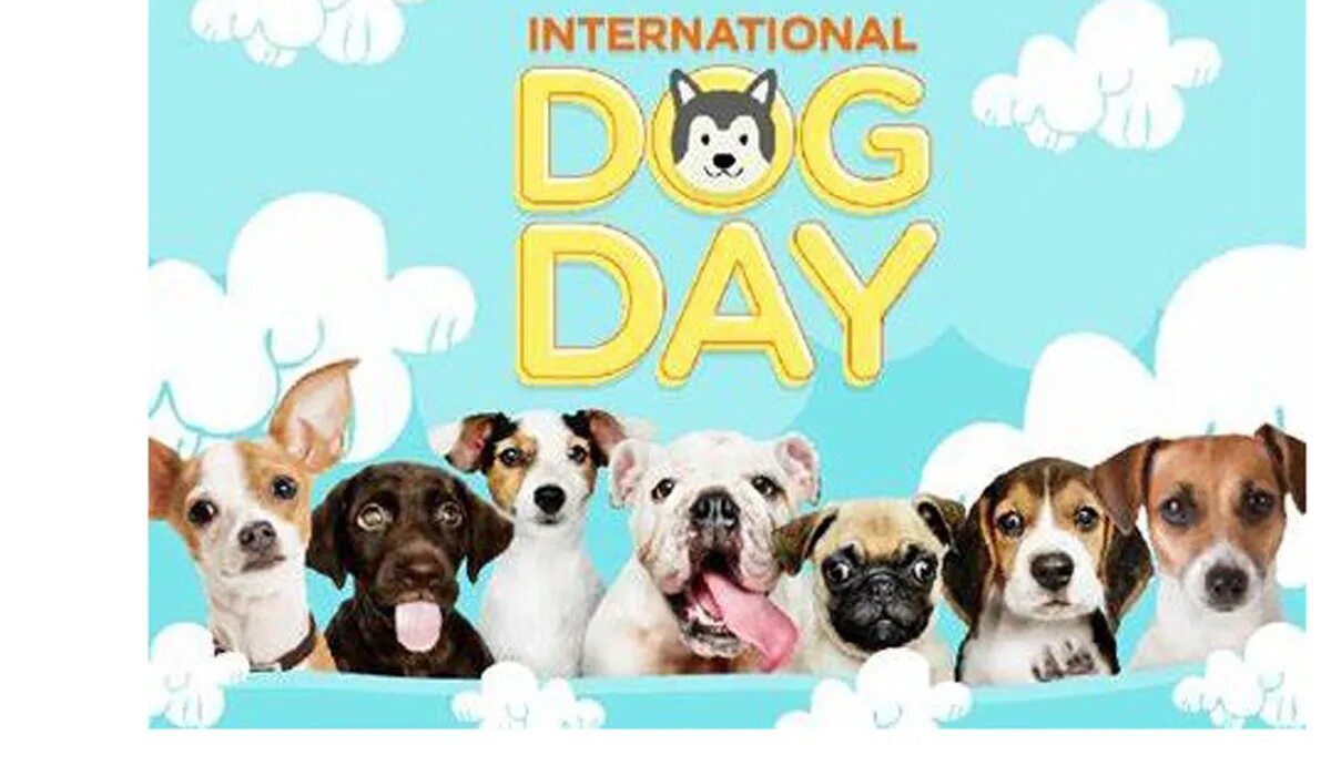 Переведи на русский dog day. Happy International Dog Day. Всемирный день собаки 2 июля. Дог дей Dog Day. Международный день собак 2 июля картинки.