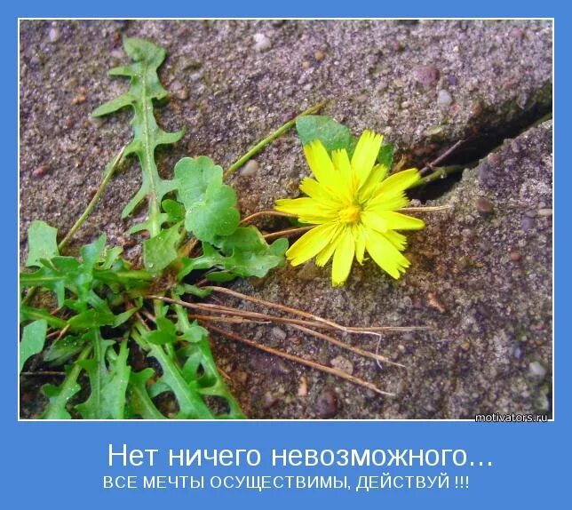 Три ничто
