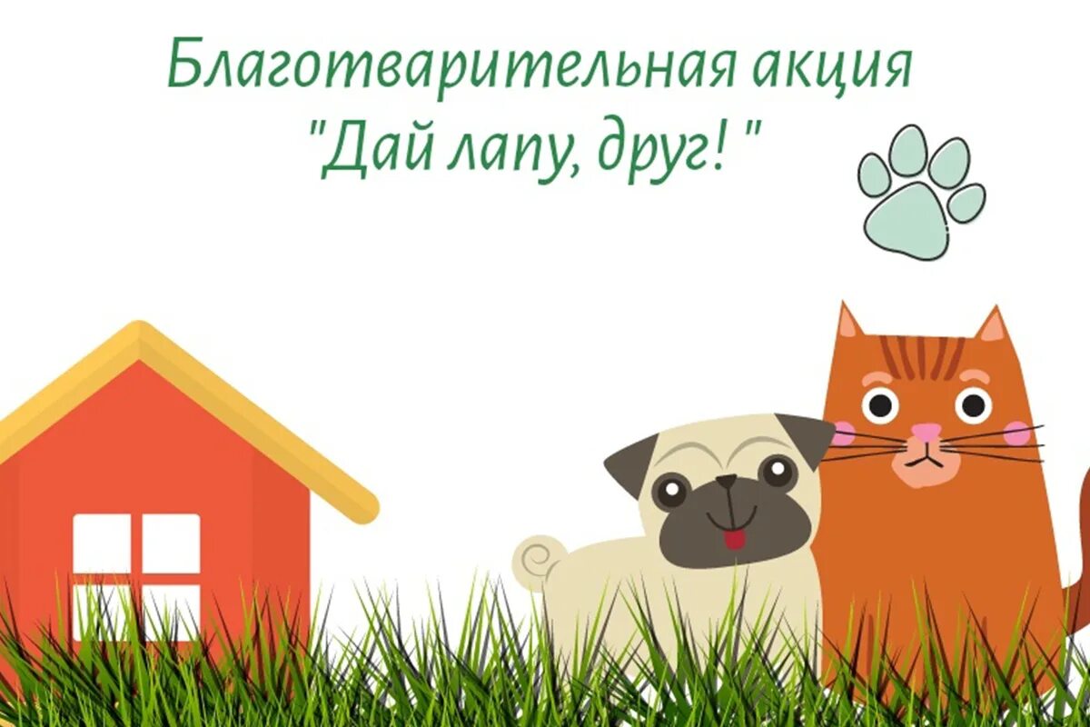 Сбор помощи приюту для животных. Благотворительная акция для животных. благотворитльнаяакция животные. сбор для приюта животных. помочь приюту для животных рисунки.