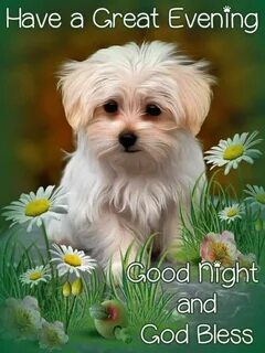 It is a beautiful evening