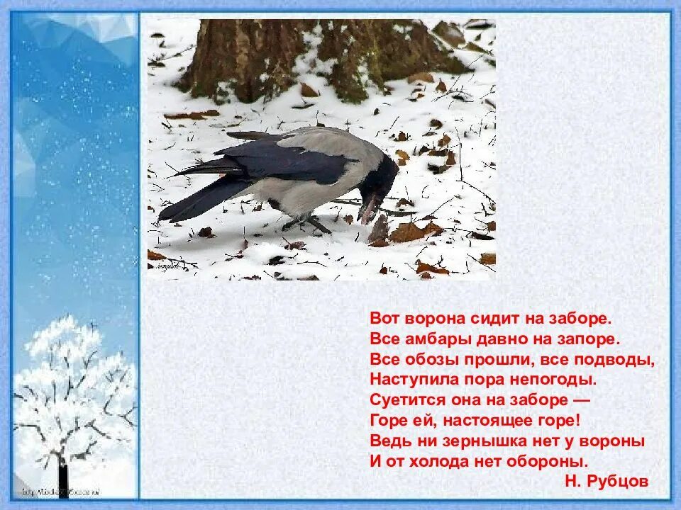 Ворон на заборе. Вороны на заборе. Ворон сидит на заборе. Черный ворон. Ворона.