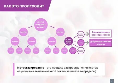 Онкологическая суббота
