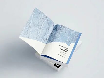 Книга мок