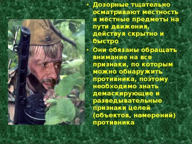 Тщательно осматривал