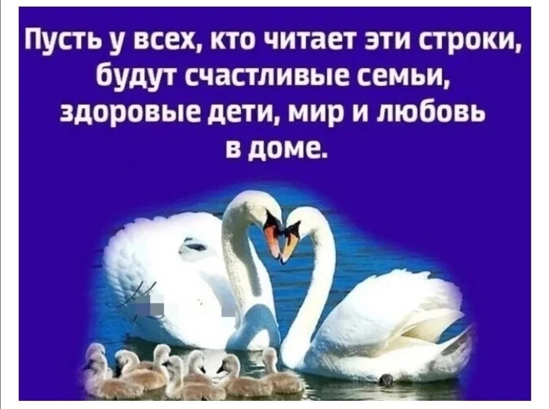 Пусть любовь начнется. Будьте здоровы и счастливы. Пусть все будут здоровы и счастливы. Пусть будут счастливы. Пусть все будут счастливы.