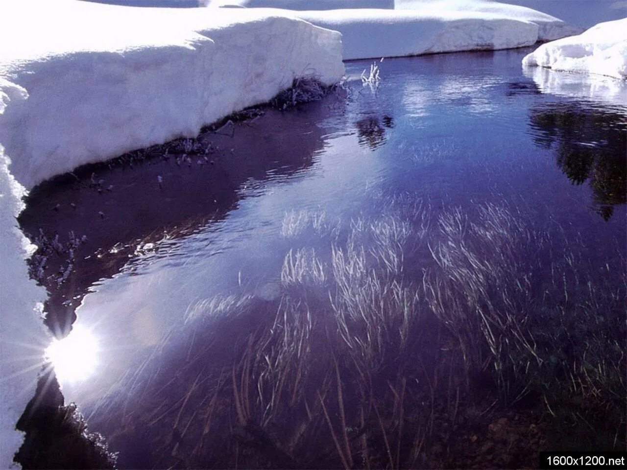 Вода замерзнет ночью. Зимняя река подо льдом. Замерзшая вода. Лед на реке. Озеро подо льдом.