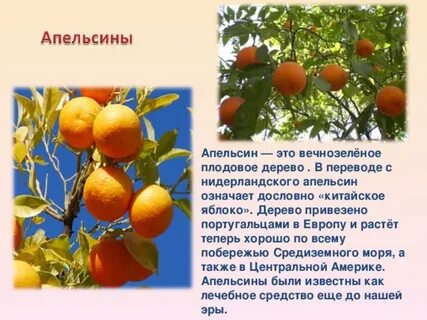 Что значит апельсин