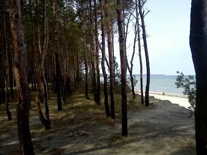 Куликово калининградская область