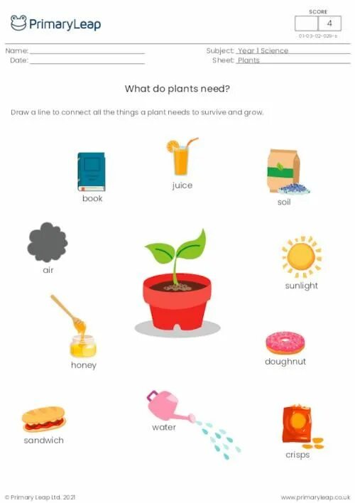 What did you plant. Plants grow worksheets. what do plants need. what plants need to grow worksheet. what do plants need to grow worksheets for kids.