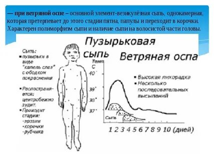 Стадии кори