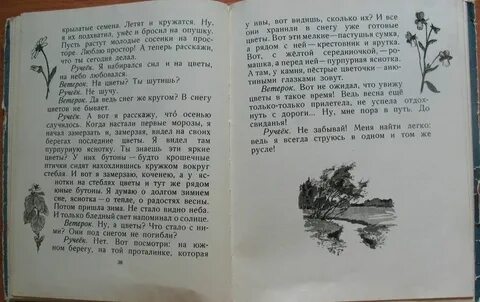 В глубине нашего двора жила необыкновенная