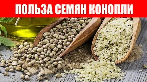 Почему сорт полезен