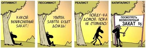 Оптимист свердлова