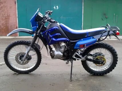Lf 200 gy 5