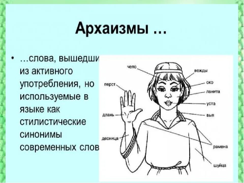 Ю выя. Устаревшие слова. Архаизмы. Устаревшие названия. Старинные названия частей тела.