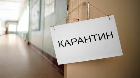 На сколько дней закроют на карантин