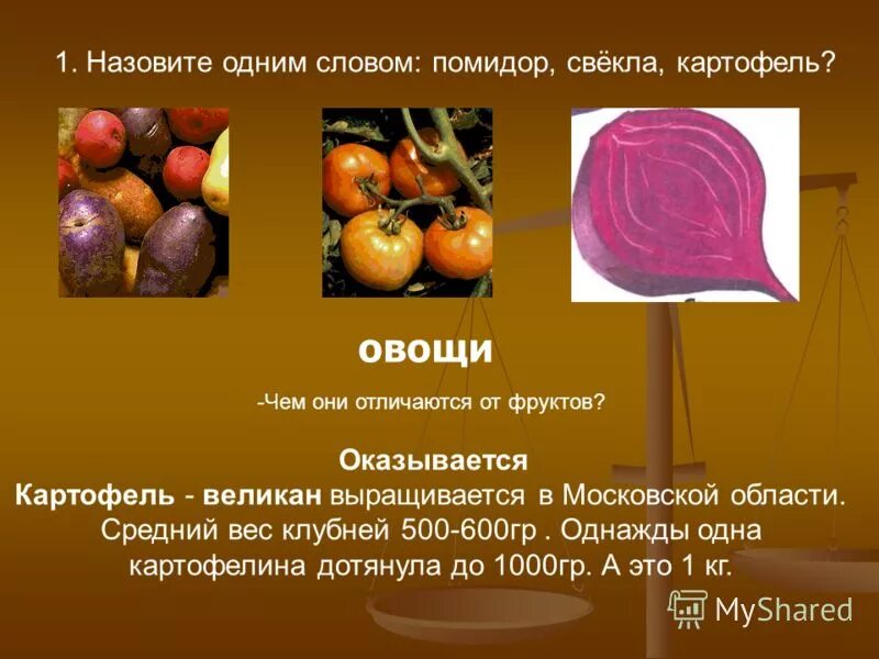 Слова из слова помидор ответы. Слова из слова помидор ответы. Слова из слова помидор ответы. Происхождение слова помидор. Прилагательные к слову помидор.