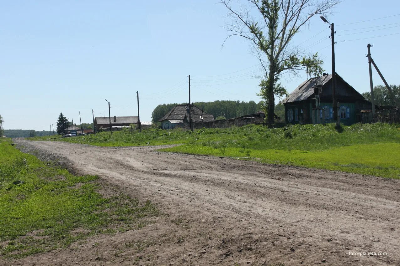 Дубровино новосибирская область. Погода порос мошковский. Сокур новосибирская область. Деревня дубровино. Рабочий поселок мошково новосибирская область.