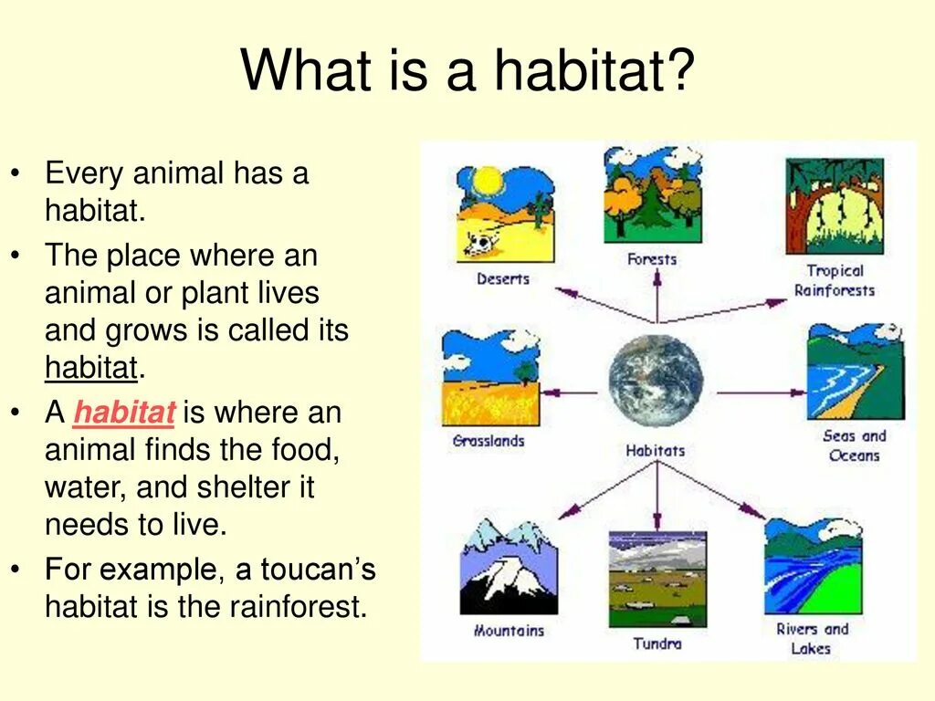 Habitats на английском. What is Habitat?. Habitats Vocabulary. Different Habitats.