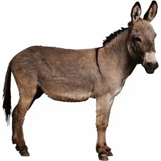 Порно фильмдерден порно клиптер