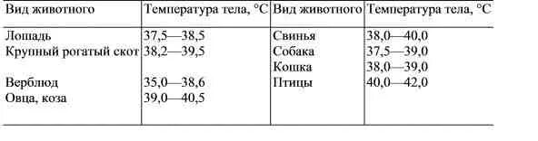 Норма температуры у собак. Температура тела у животных таблица нормальная. Температура животных в норме таблица. Нормы температуры тела у животных таблица. Температура тела кур