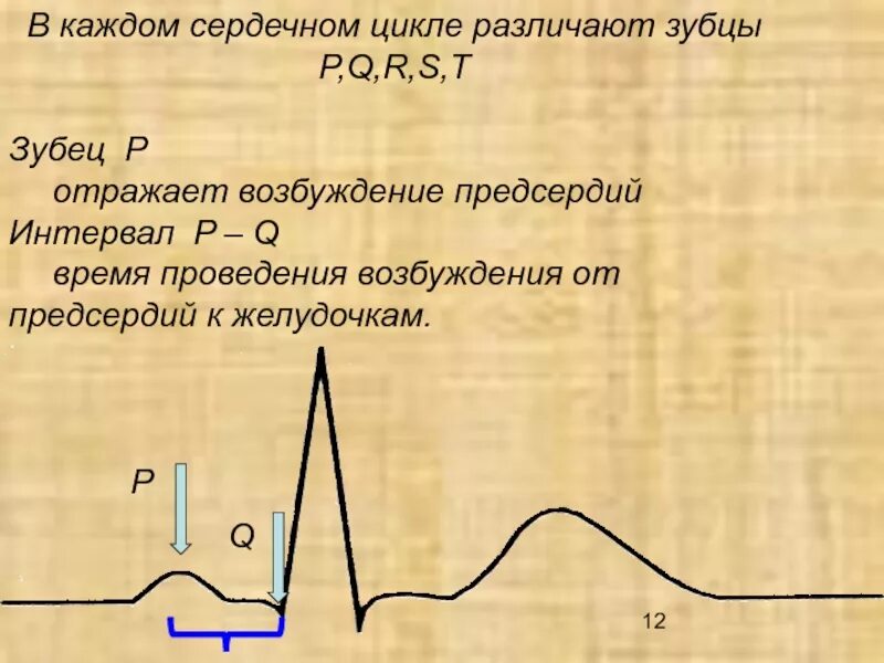 Названия сердечных циклов