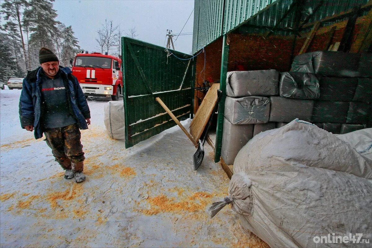 47 ньюс всеволожский. Пожар в Ленинградской области Синявино. Картинки с вафельное сердце спасали лошадей от пожара.