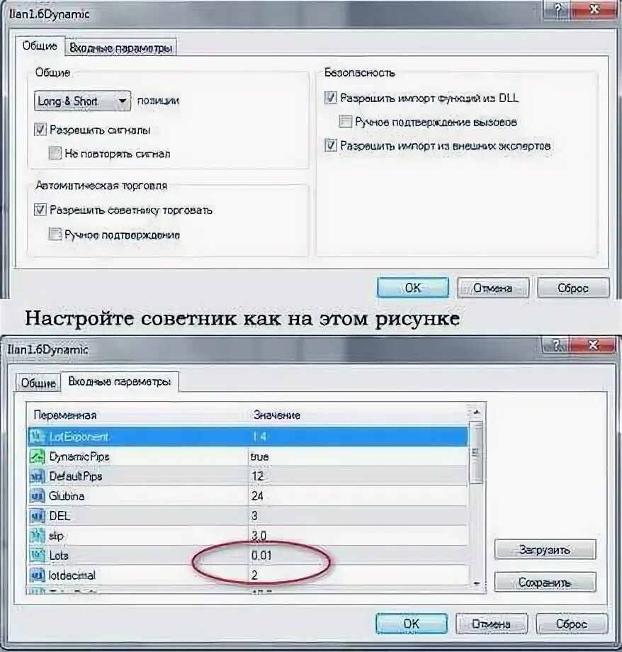 Dynamic 1.6
