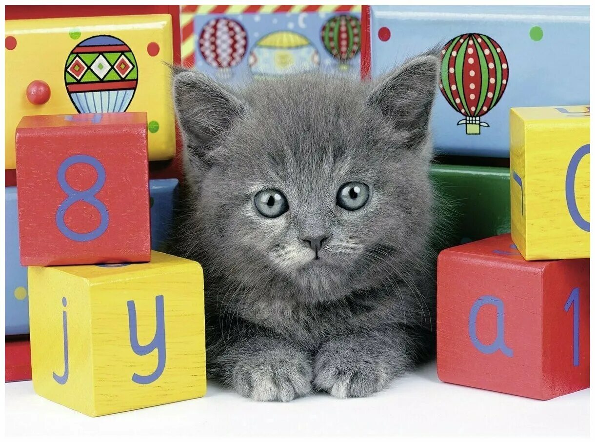 Набор мягких кубиков мякиши три кота математика. Кубиков котиков. Кубиков котиков. Котик с кубиками. Игрушечные кубики 3 кота.