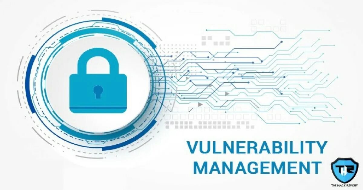Vulnerability management. Vulnerability manager plus.