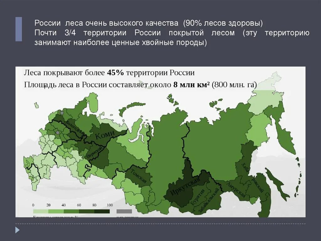 40 процентов территории. Лесное хозяйство территория в России. Карта лесного хозяйства России. Европейская территория России Лесное хозяйство. Лесное хозяйство в России 2022 г.
