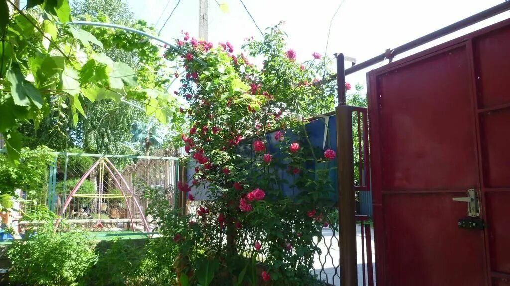 п. витязево благовещенский переулок дом 18. витязево благовещенский переулок. благовещенская виноградный переулок 11. витязево переулок благовещенский 5.