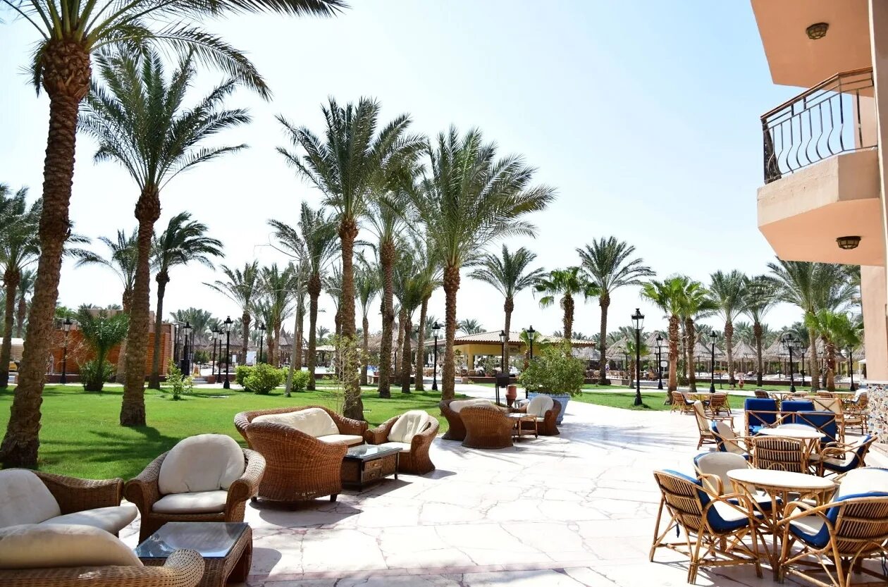 Хургада египет сива гранд. Siva grand beach пляж. Siva grand beach. Siva grand beach 4 египет хургада. Сива гранд бич хургада 4.