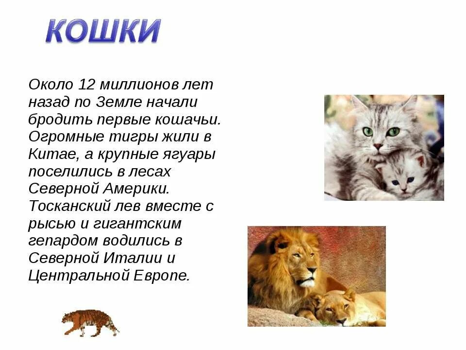 Рассказ про домашнего питомца 1 класс окружающий. Доклад о животных. Рассказы о животных. Текст про животных. Рассказ о животном.