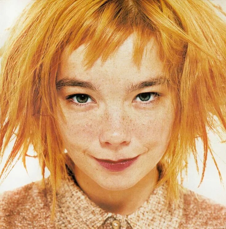 Волосы светлые веснушки. Бьорк 1996. Bjork певица. Bjork рыжая. Певица Бьорк в молодости рыжая.