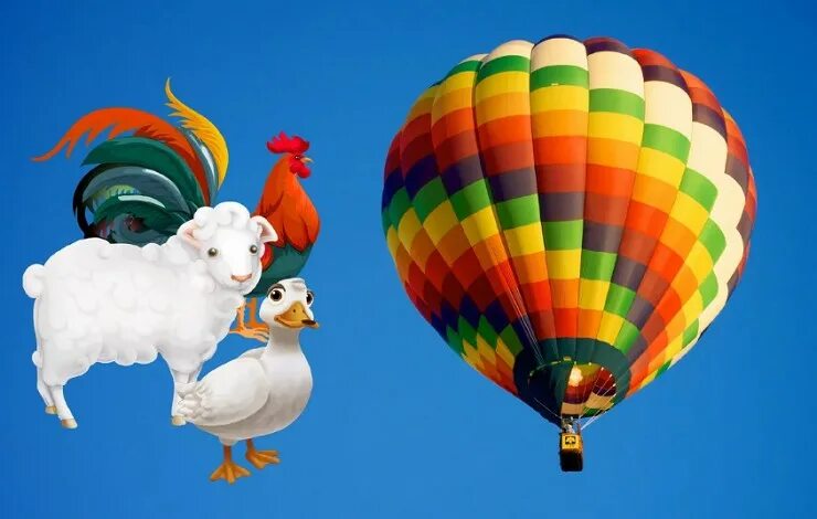Карточки "домашние животные". Овечка петух. Овечка и курица. Первые пассажиры воздушного шара. Баран петух.
