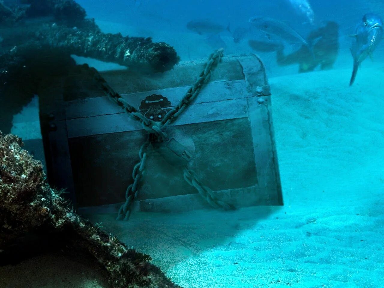 Есть жизнь на дне океана. Затонувшие сокровища «Витте Лиува». Затонувшие сокровища Карибского моря. Затонувший пиратский корабль. Сокровища на дне моря.