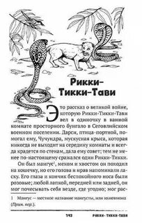 Рикки тикки тави дневник