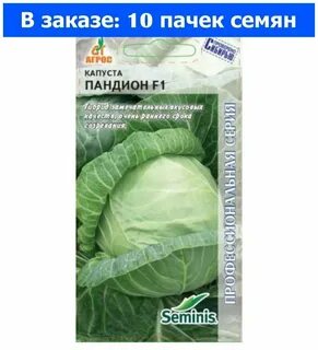 Капуста сорт пандион