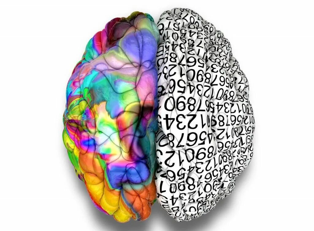 Функции правого полушария головного мозга схема. Функции левого и правого полушария таблица. Левое полушарие головного. Левое полушарие головного. Функции правого и левого полушария.